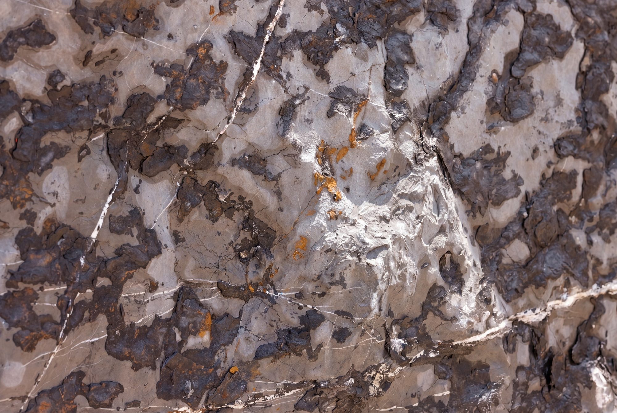 Macro detail of Pietra Grey marble — a thick, locally cut slab with a custom natural finish; grey stone veined with white quartz and rust